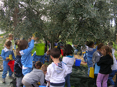 Progetto Educazione Alimentare