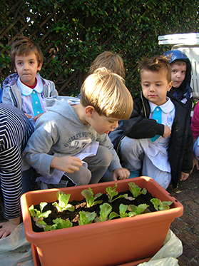 Progetto Educazione Alimentare